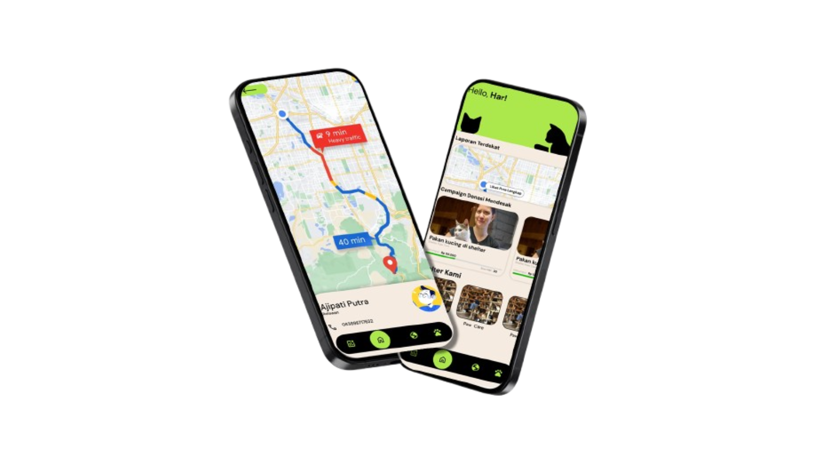 4PAWS cat adoption mobile app project preview