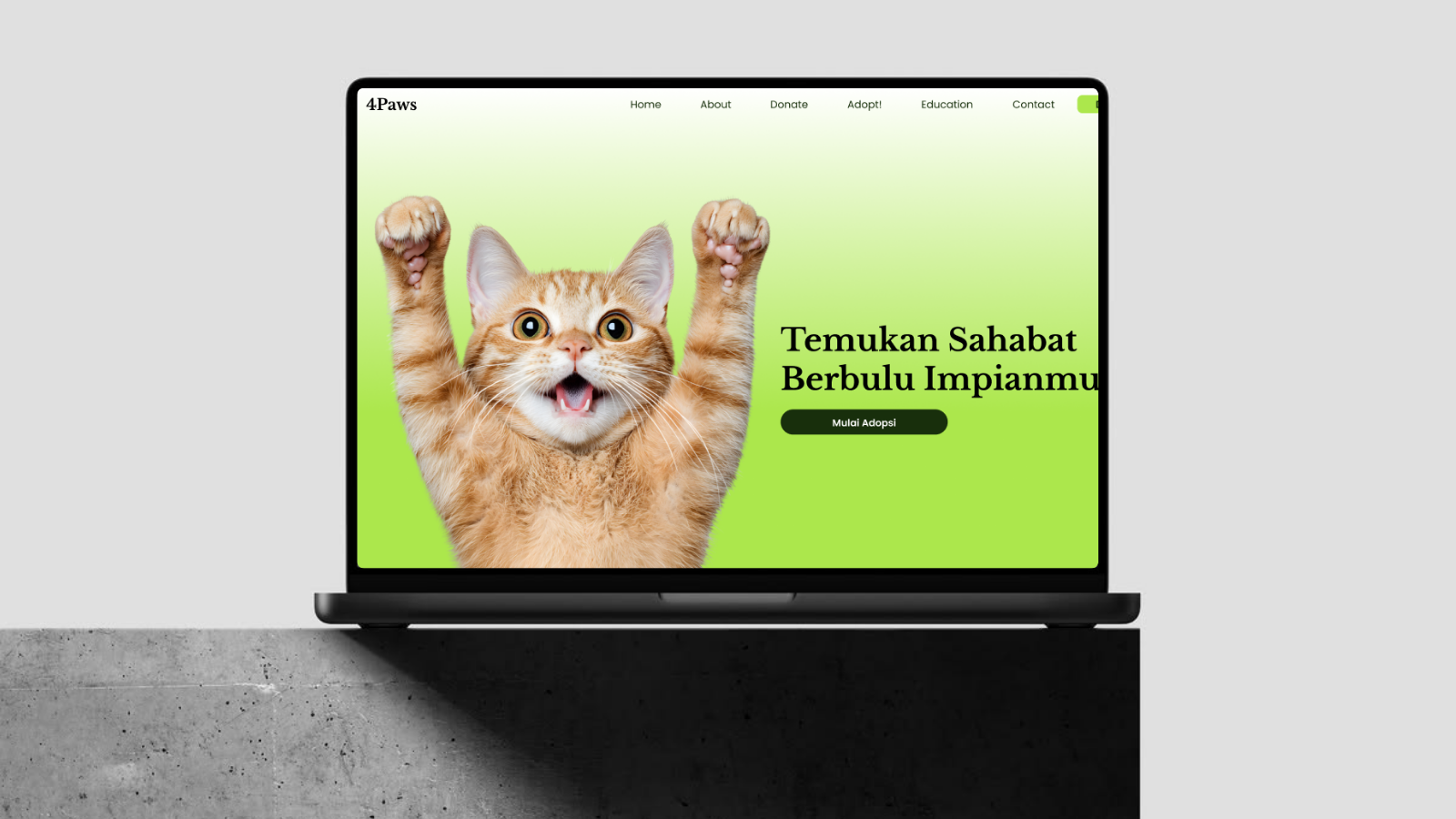 4PAWS cat adoption web app project preview