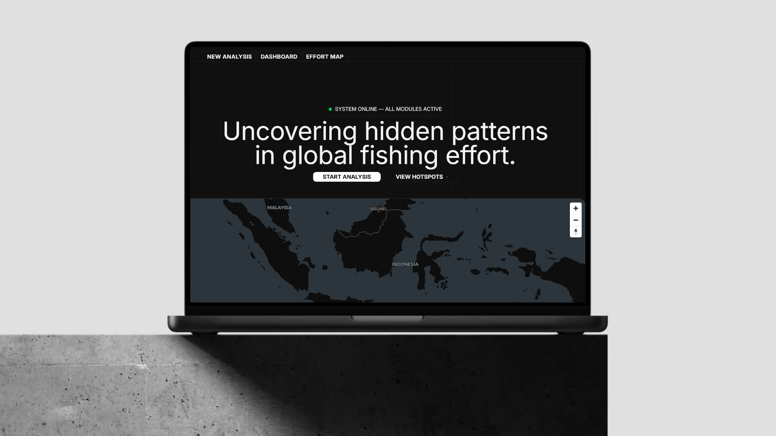 FishInt guided interview project preview